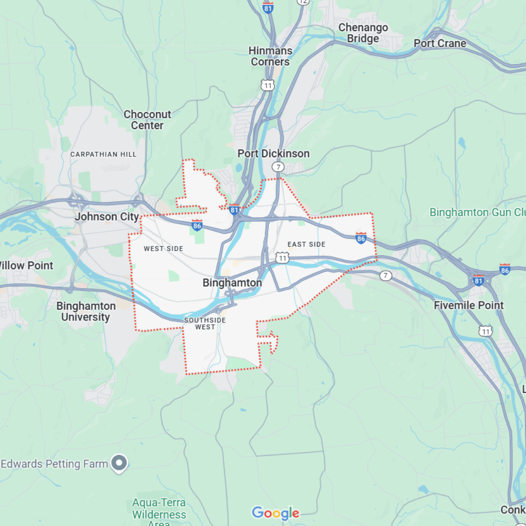 cny tree services – binghamton tree service area