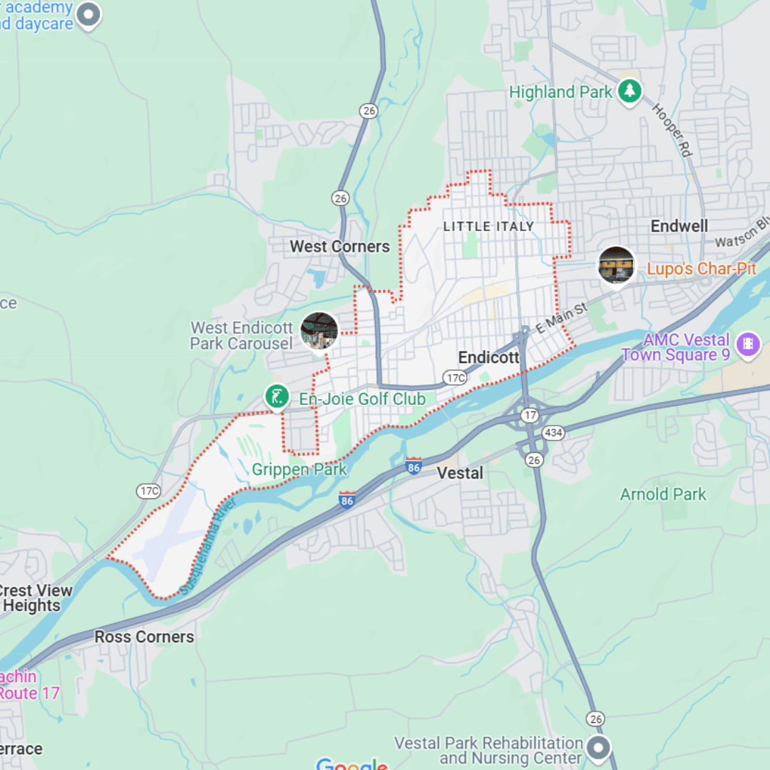 cny tree services – endicott tree service area