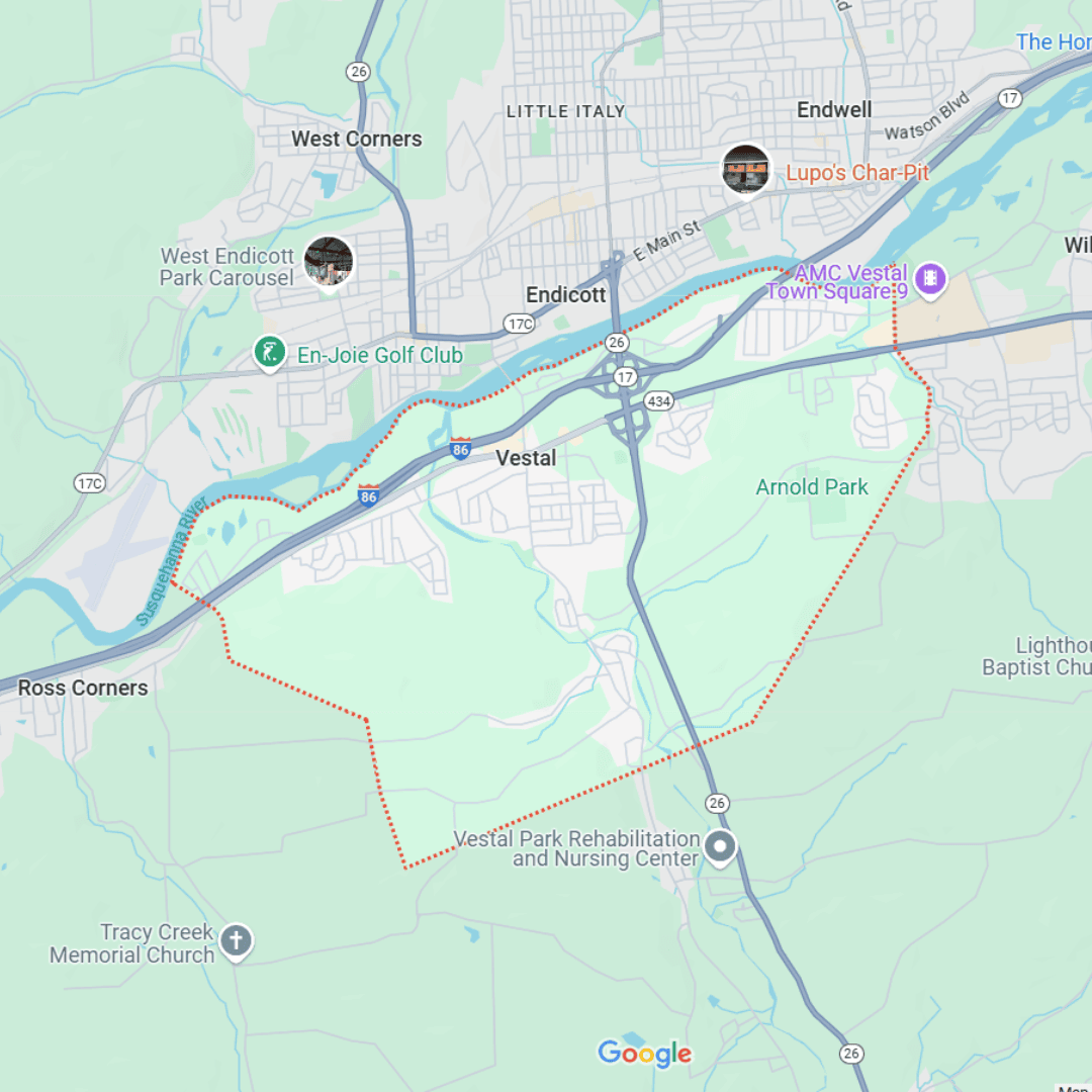 cny tree services – vestal tree service area