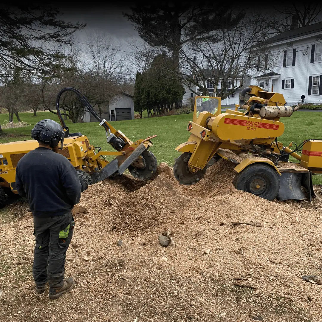 diy tips and pro level support for every project stump removal