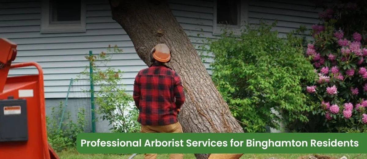 professional arborist services for binghamton residents