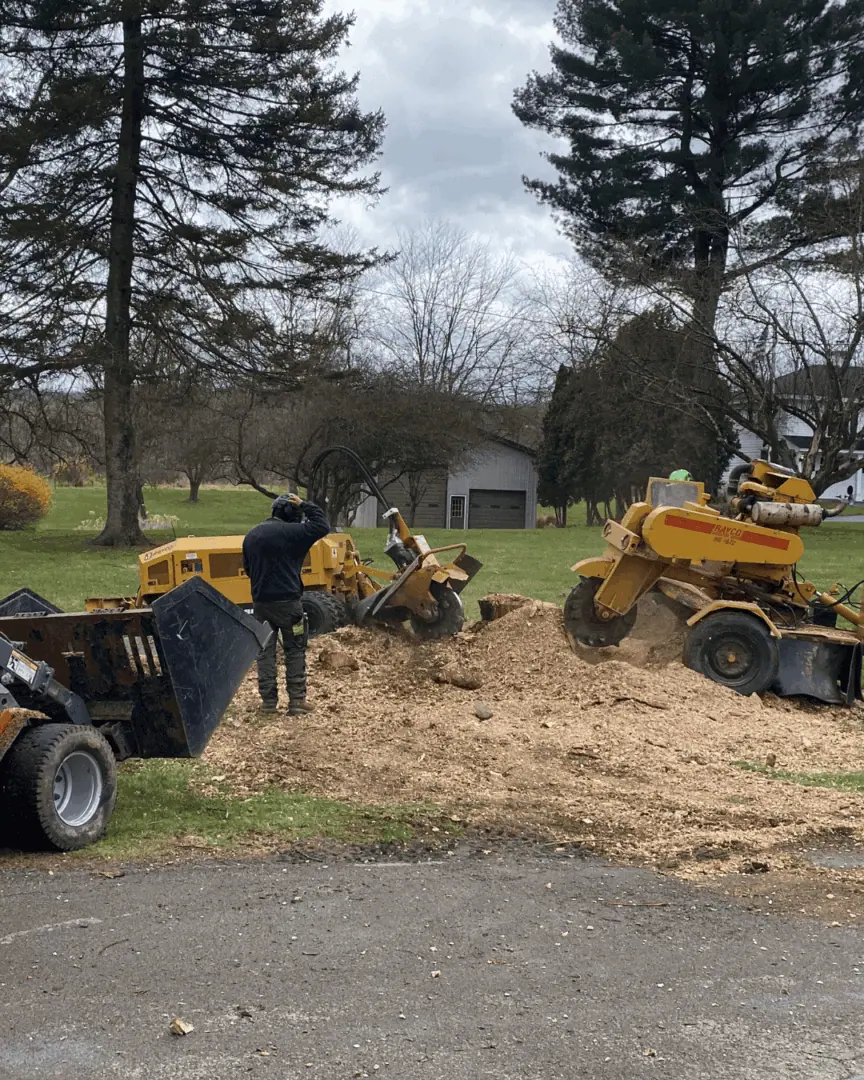 safe and efficient stump grinding solutions in endicott, ny by cny tree service llc
