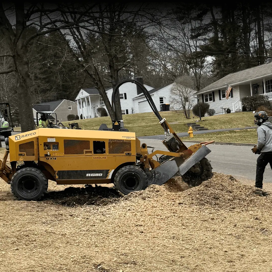 safe and efficient stump grinding solutions in endicott, ny