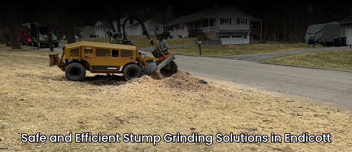 safe and efficient stump grinding solutions in endicott