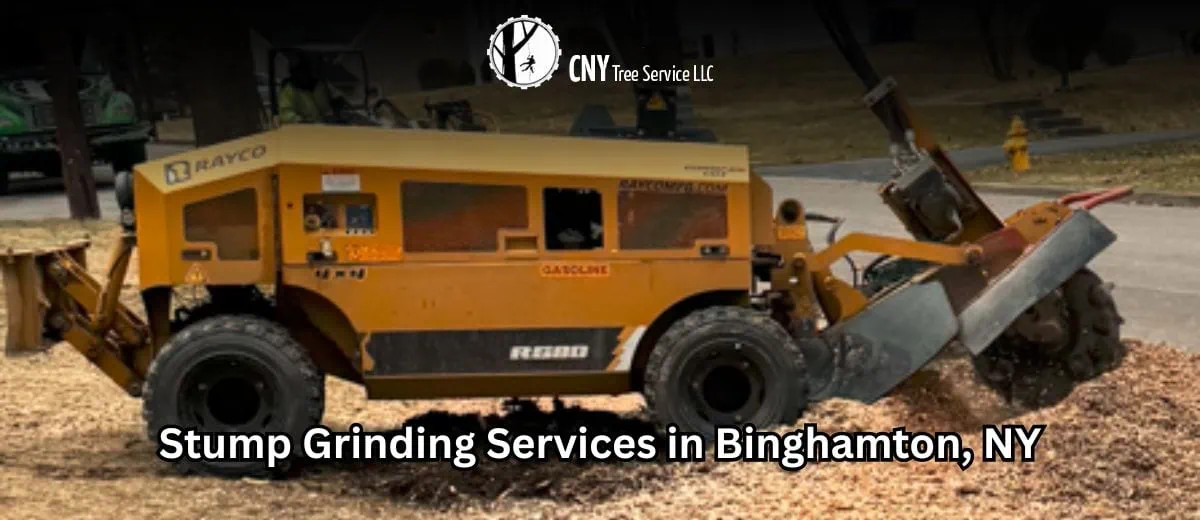 stump grinding binghamton ny cny tree services