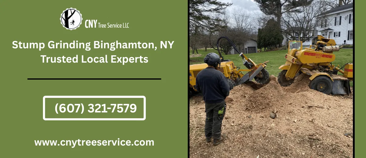 stump grinding binghamton ny trusted local experts