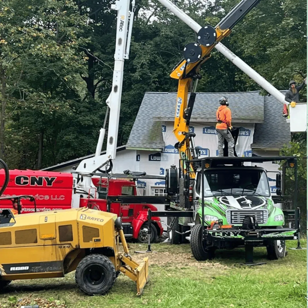 Tree Service in Vestal