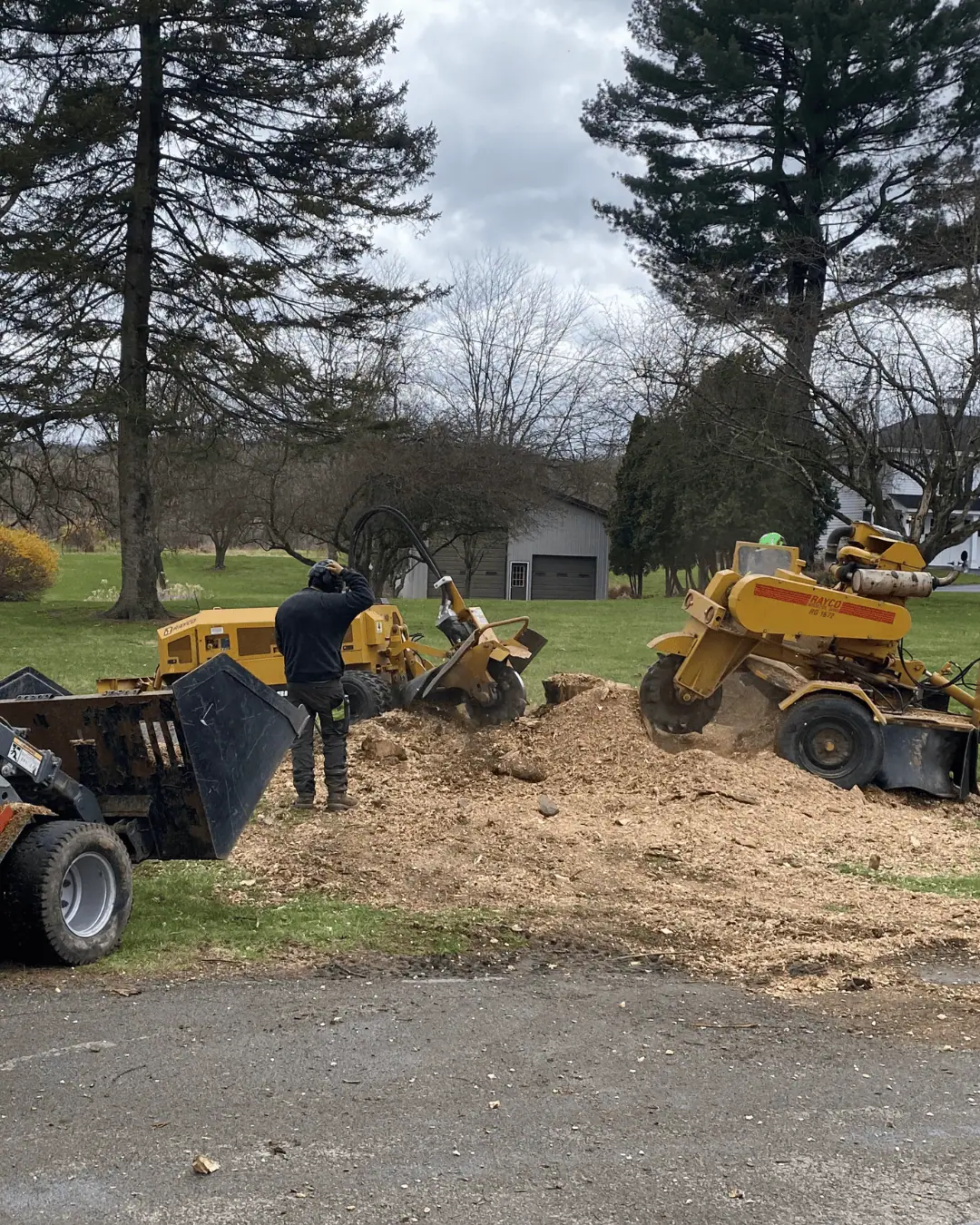 trusted stump grinding binghamton ny cny tree service
